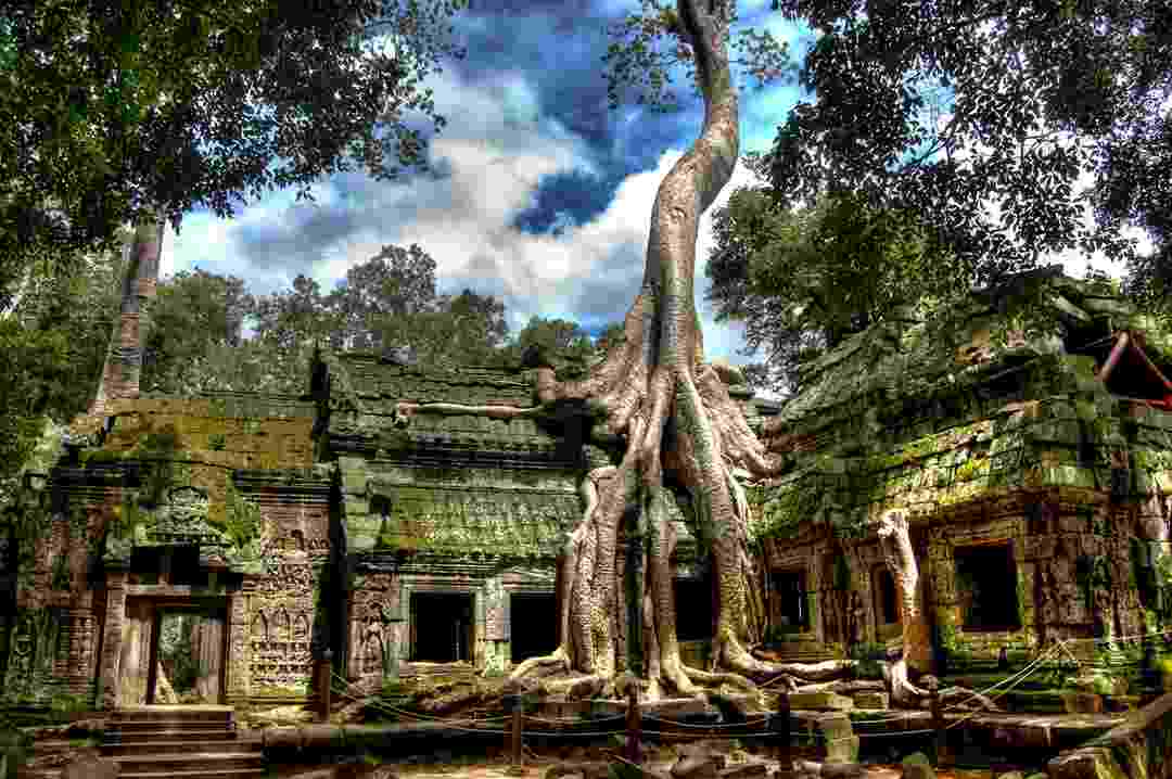 Ngôi đền Ta Prohm đặc biệt ,lý thú