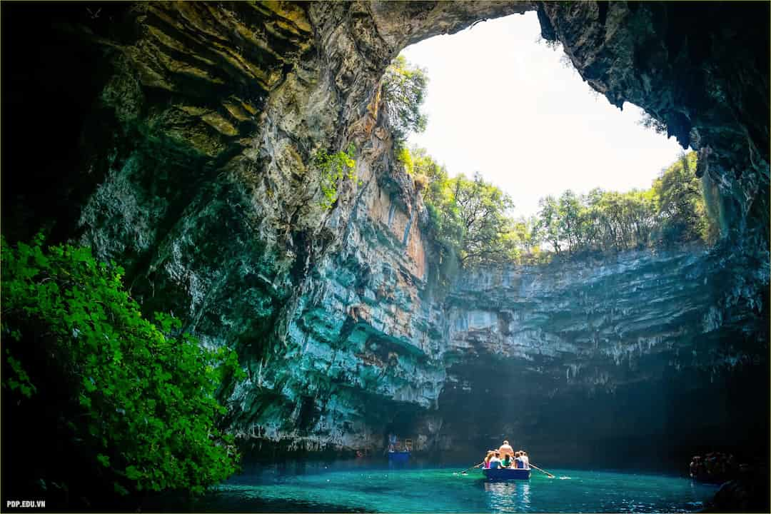 Động Phong Nha có hệ thống động vật rất phong phú