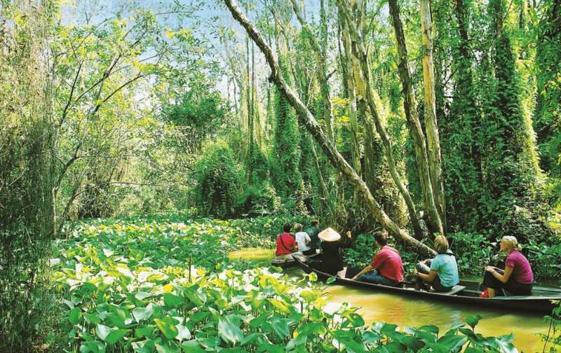 Vì sao Long An là điểm đến đáng để khám phá?