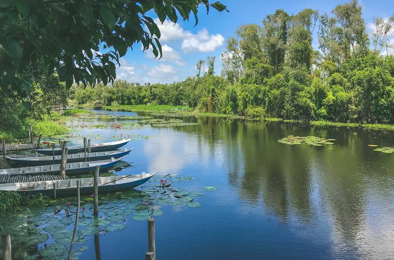 Làng nổi Tân Lập, biểu tượng du lịch sinh thái Long An