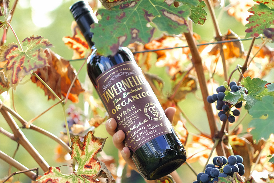 Rượu vang Tavernello Organico Syrah Terre Siciliane có hương vị thơm ngon ấn tượng